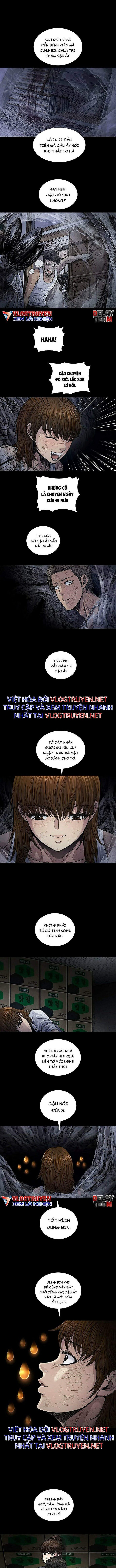 Đọc truyện Hive - Thảm họa ong độc - Chap 254